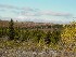 Dolly Sods